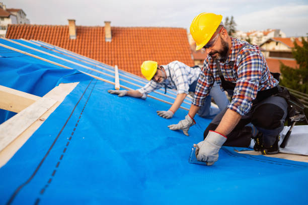 Best Gutter Installation and Repair  in Baudette, MN