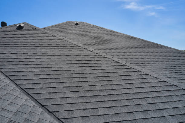 Best Chimney Flashing Repair  in Baudette, MN